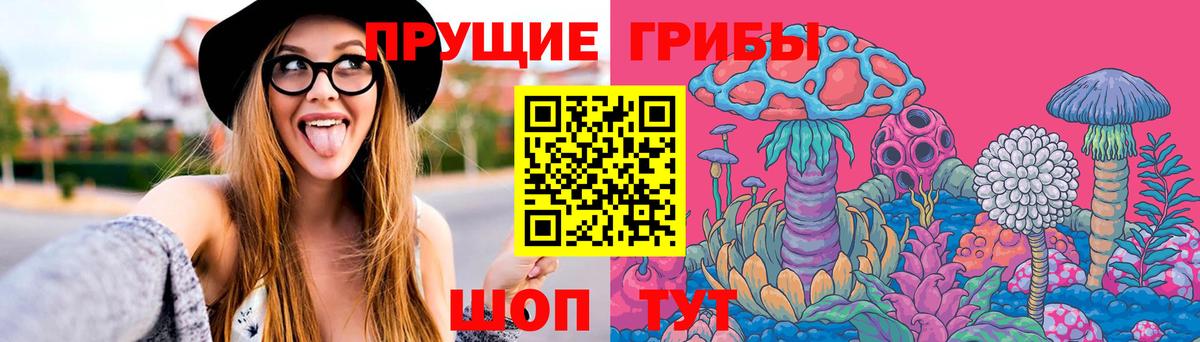 Псилоцибиновые грибы MAGIC MUSHROOMS  Вход с VPN  продажа наркотиков  Азнакаево 